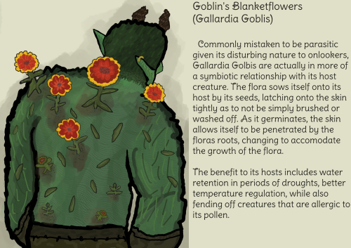 Goblins Blanketflower