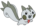 Sniff The Pachirisu