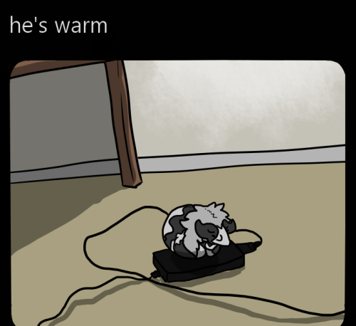 He's Warm