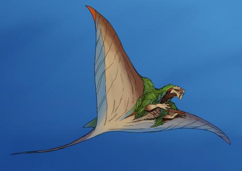 Merfolk concept (manta ray)