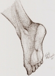 Foot Study