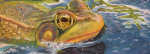 Frog: Gouache Painting