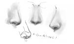 noses