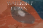 watership downj