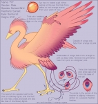 Sunsetbird Reference