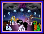 Pink Floyd Ponies!