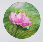 Dreaming lotus