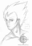 Vegeta Profile