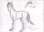 Horse Sketch 1