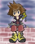 sora collab.