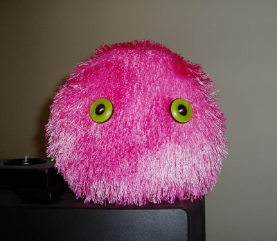 Arnold the pygmy puff