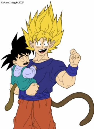 Goku &#38; Shin