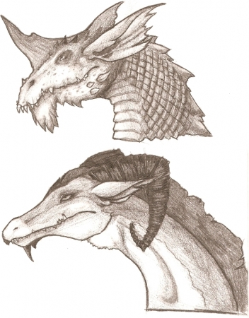 Dragon Sheet 1