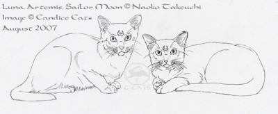 Moon Cats - sketch