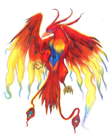 Birth of Pheonix