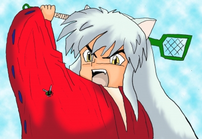 Inuyasha versus the fly