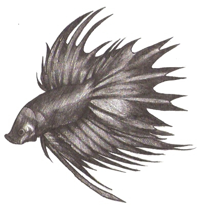 Betta Fish tattoo design v.1