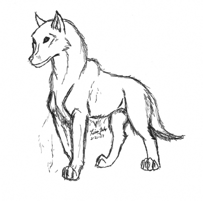 Wolf sketch