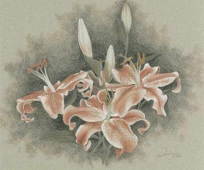 Lilies