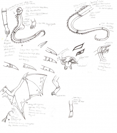 Blood Kyn &#39;Layout&#39; sheet