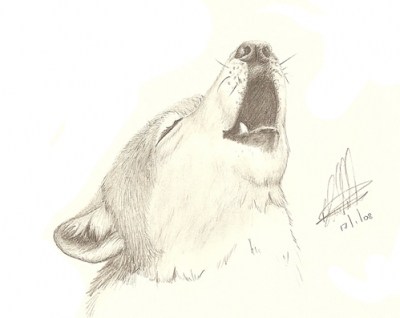 wolf howl