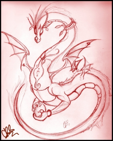 Elegant Dragon