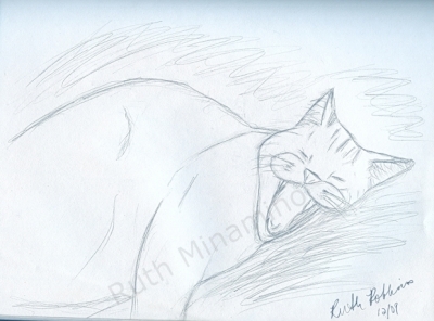 The Yawning Cat