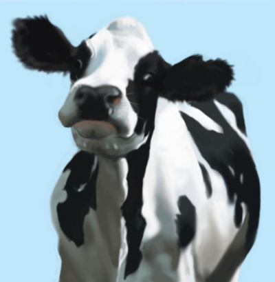 cow