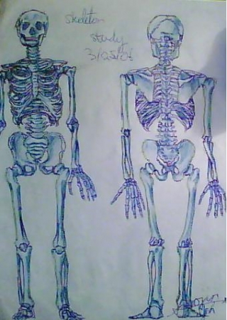 Blue skeletons