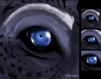 Bagheera's Eye - Icon