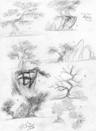 Bonsai Sketches