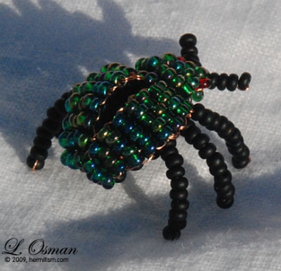 Emerald scarab Beetle