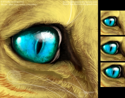 Sif's Eye - Icon