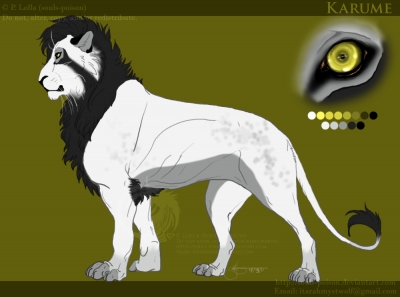 Karume Reference Sheet