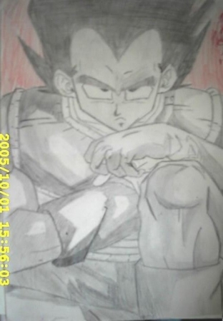 Vegeta (Completed)