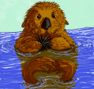 Sea Otter