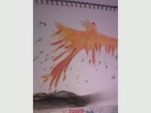 fire bird