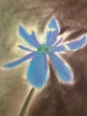 blue flower