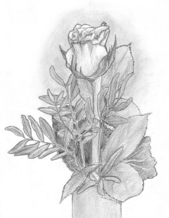 A Rose