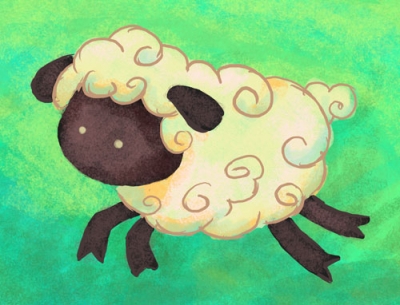 Sheep