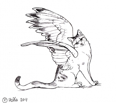 Winged kitty