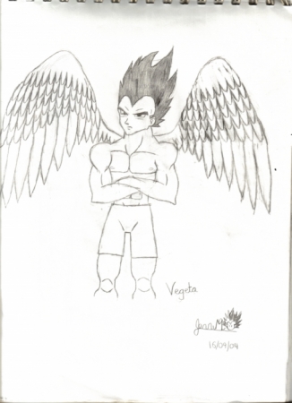 Angel Vegeta