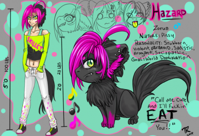 Hazard Ref Sheet