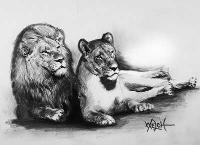 LIONS (sketch)