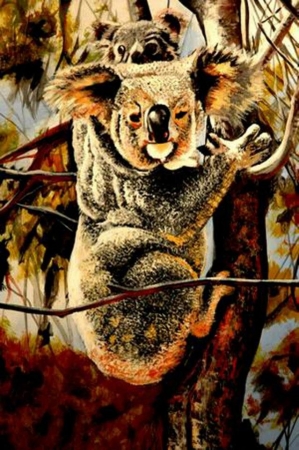 KOALA