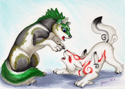 Amaterasu and Wolf Link