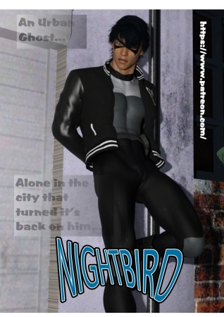 Nightbird Cover