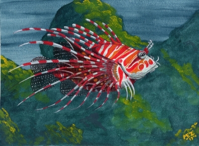 lion fish