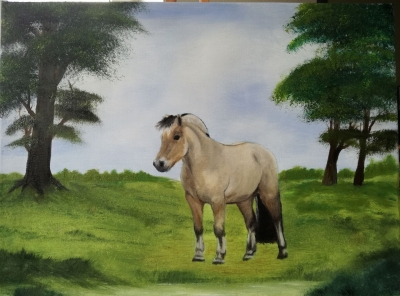 Fjordhorse painting