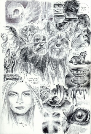 sketchpage 21